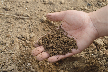 soil sample, plastech plus, health of crops, 